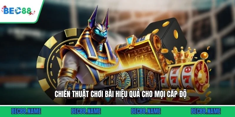 Chiến thuật chơi bài hiệu quả cho mọi cấp độ