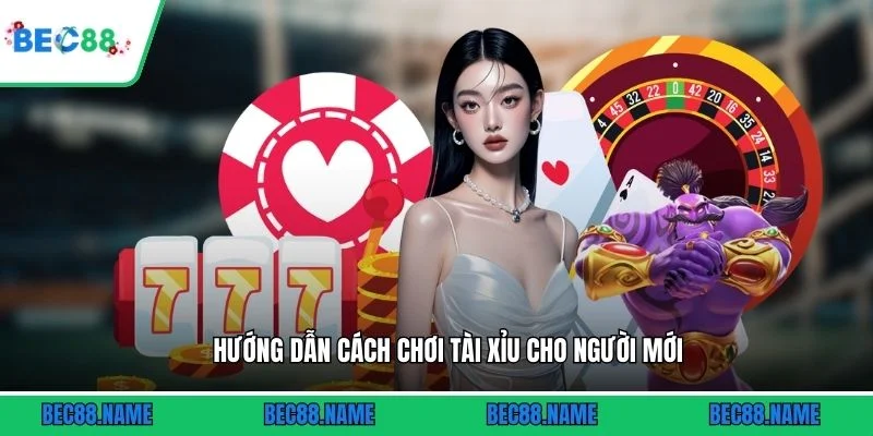 Hướng dẫn cách chơi tài xỉu cho người mới