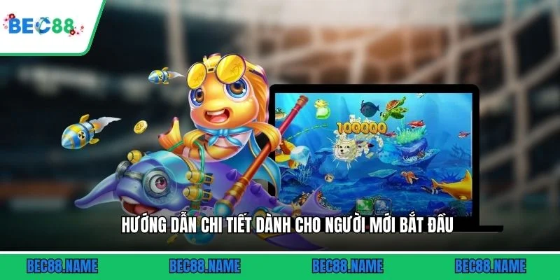 Hướng dẫn chi tiết dành cho người mới bắt đầu