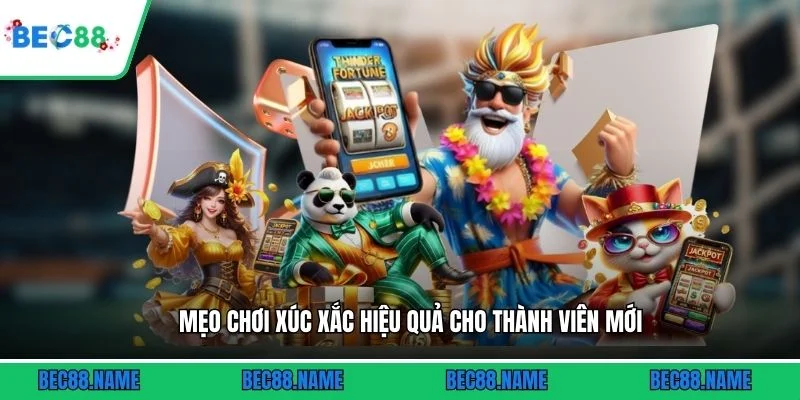 Mẹo chơi xúc xắc hiệu quả cho thành viên mới