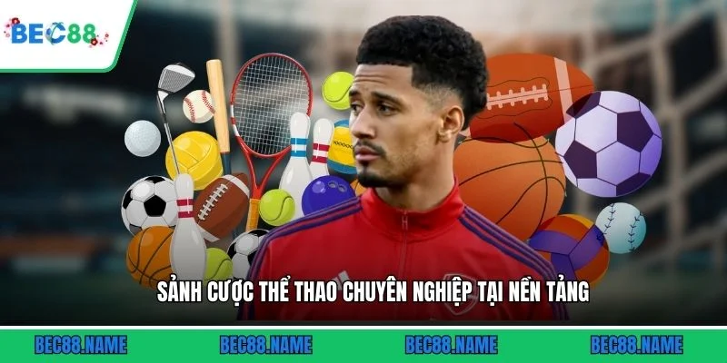 Sảnh cược thể thao chuyên nghiệp tại nền tảng