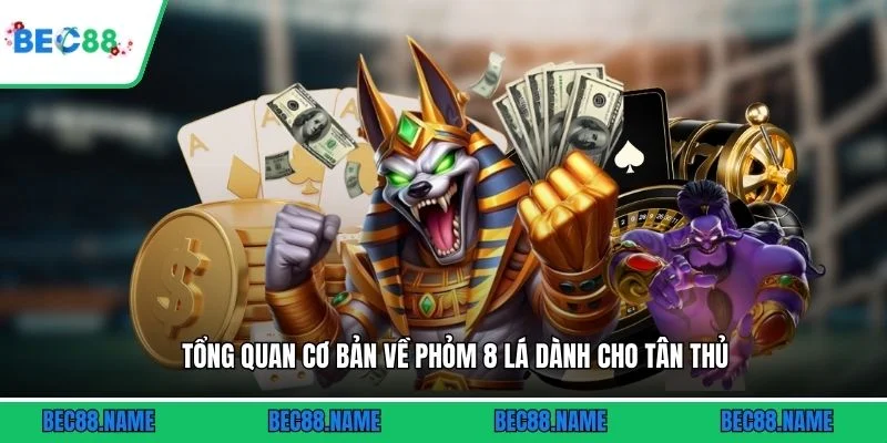 Tổng quan cơ bản về phỏm 8 lá dành cho tân thủ