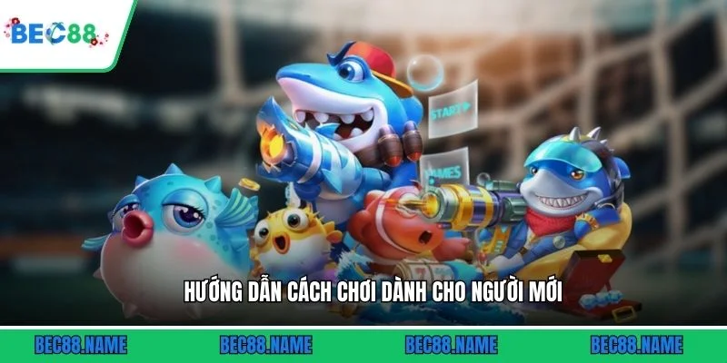 Hướng dẫn cách chơi dành cho người mới